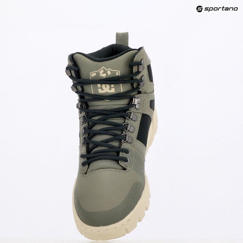 DC men's shoes Pure High Top WR green / black / white 16