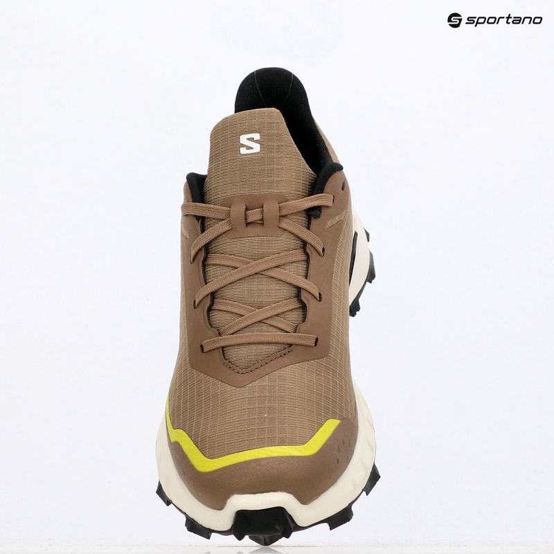 Men's running shoes Salomon Alphacross 5 caribou/canteen/ sulphr 18