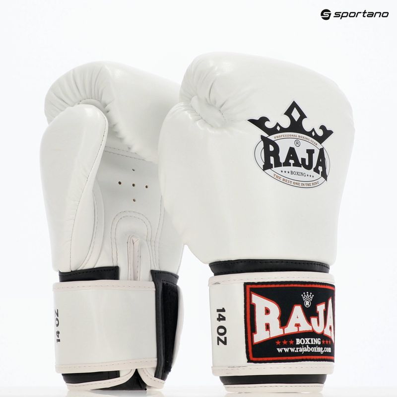Boxing gloves RAJA BOXING Single Semi Leather white 8