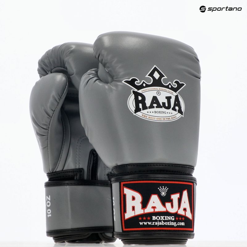 Boxing gloves RAJA BOXING Single Semi Leather grey 8