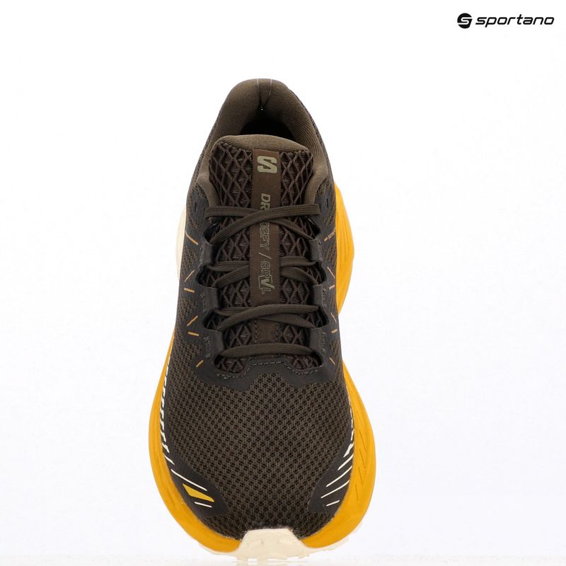 Men's running shoes Salomon Drx Defy GRVL wren/spicy mustard/vanilla ice 13