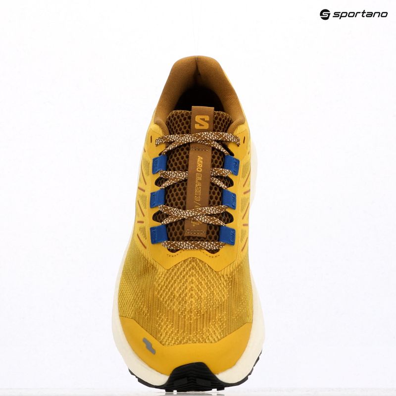 Men's running shoes Salomon Aero Blaze 3 GRVL spicy mustard/vanilla ice/nautical blue 9