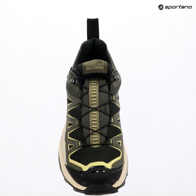 Men's trekking boots Salomon X Ultra 360 Edge GTX peat/olive night 9