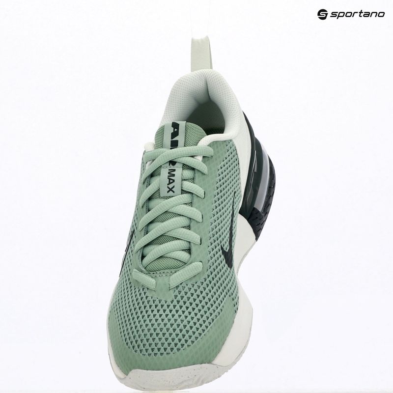 Men's training shoes Nike Air Max Alpha Trainer 6 steam/spruce aura/off white/black spruce 13