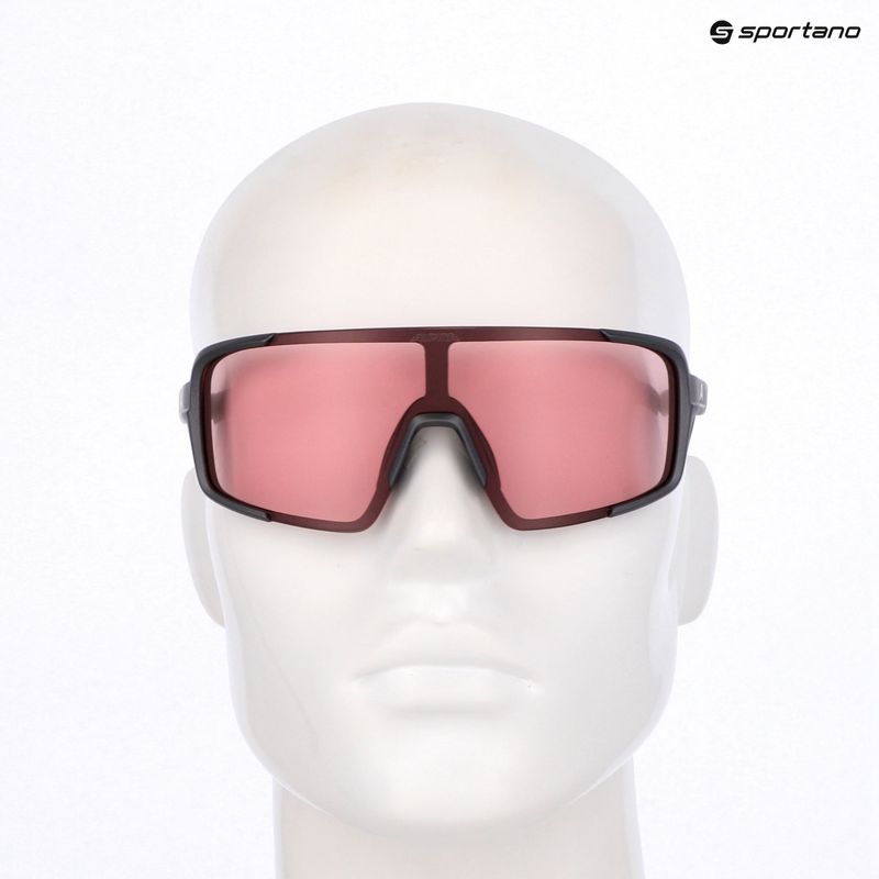 Sunglasses Alpina Lumin gun/metall matt/pink 7