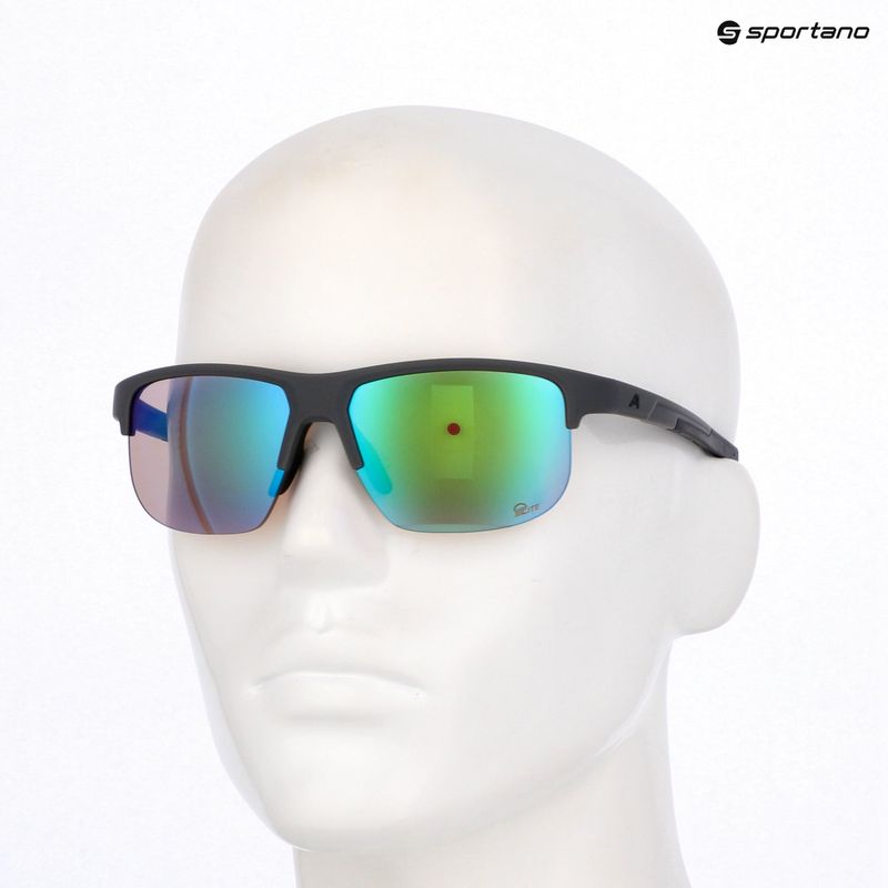 Sunglasses Alpina Eagle Q-Lite midnight/grey matt/green 7