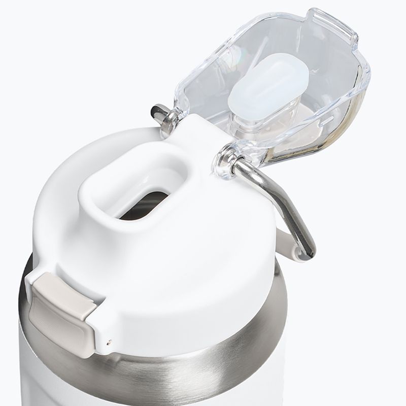 Thermal bottle Stanley Classic Wellspring frost 3