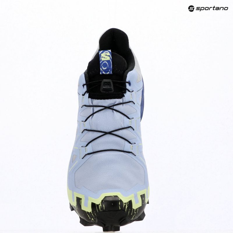 Men's running shoes Salomon Speedcross 6 GTX Icon brunnera blue/surf the web 9
