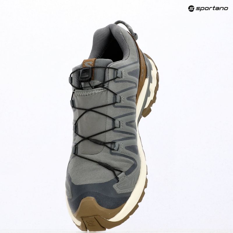 Men's running shoes Salomon XA Pro 3D V9 GTX Lifelong sedona sage/coyote brown 8