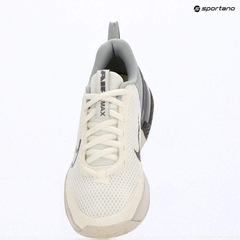 Men's training shoes Nike Air Max Alpha Trainer 6 sail/light smoke grey/phantom/pencil point 12