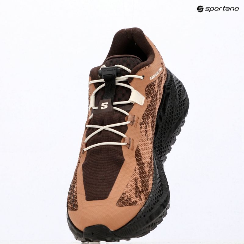 Men's running shoes Salomon Aero Glide 4 GRVL burro/black 9