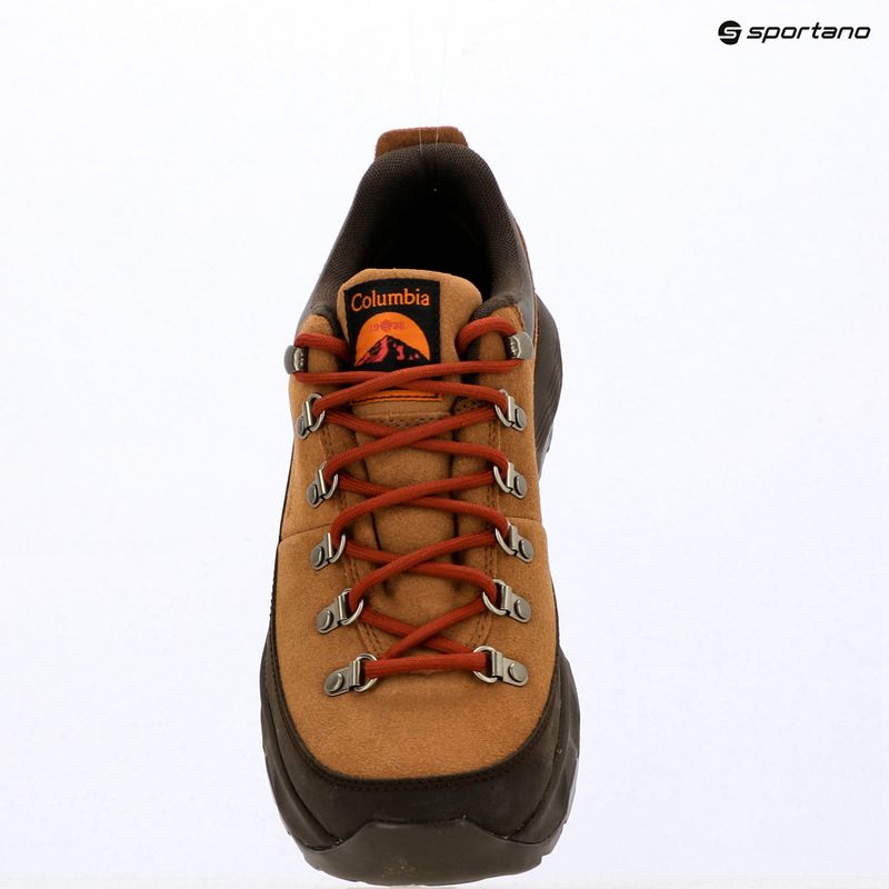 Men's trekking boots Columbia Newton Alpine Low grizzly bear/red oxide 15