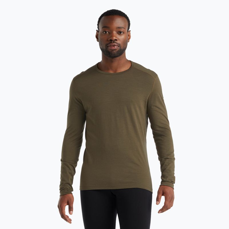 Men's thermal top icebreaker 200 Oasis Crewe loden