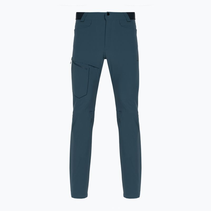 Men's trekking trousers Salomon Wayfarer blue LC1713700