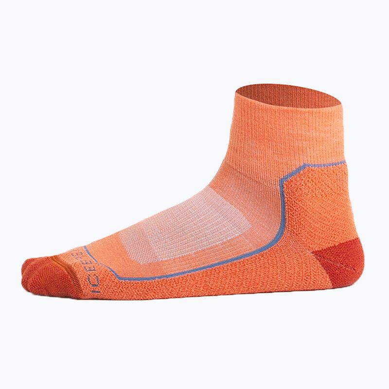 Icebreaker men's trekking socks Hike+ Light Mini ember/molten/kyanite