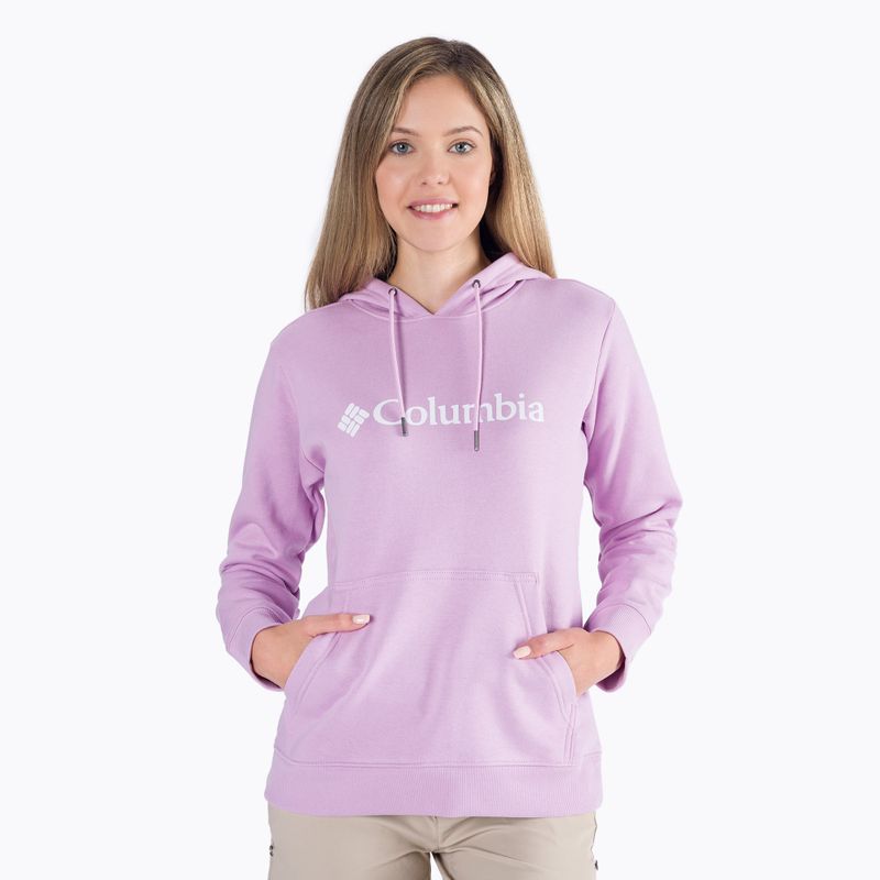 Women's trekking sweatshirt Columbia Logo purple 1895751