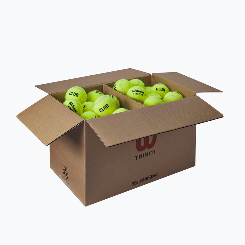 Tennis balls Wilson Trinity Club 72 pcs. yellow 2