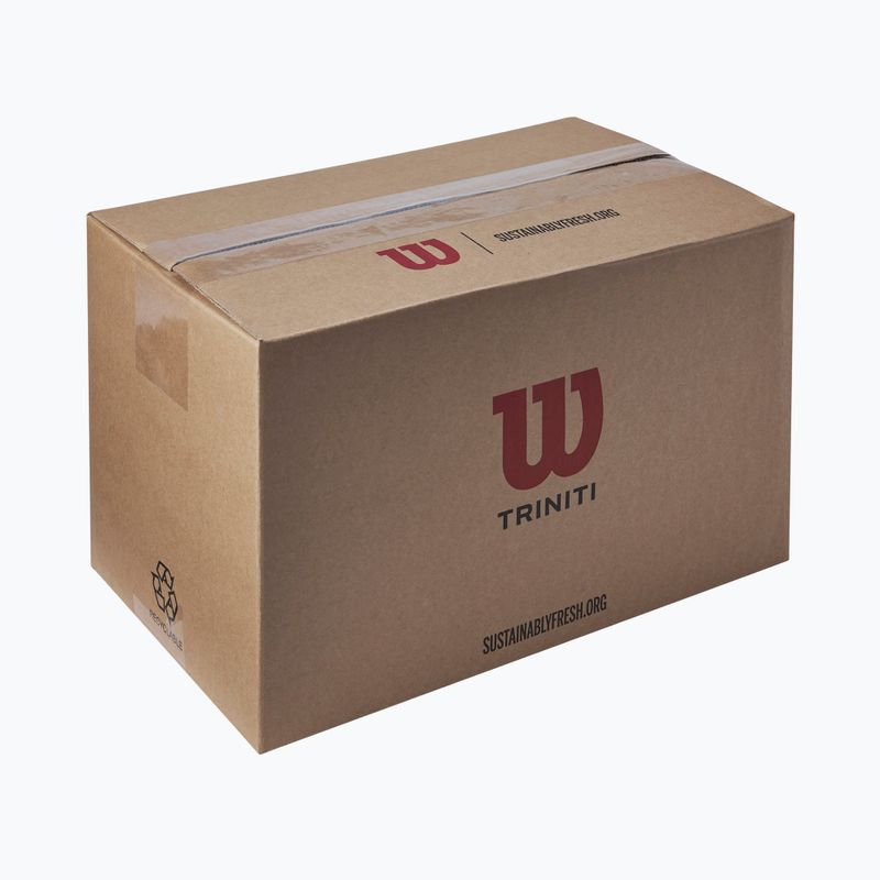 Tennis balls Wilson Trinity Club 72 pcs. yellow 4