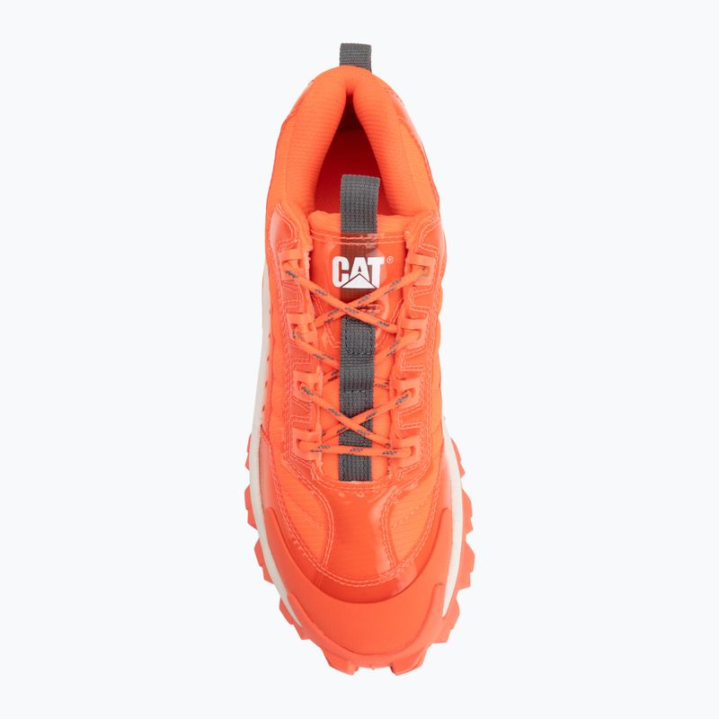 Men's shoes CATerpillar Intr Ignite fiery coral 5