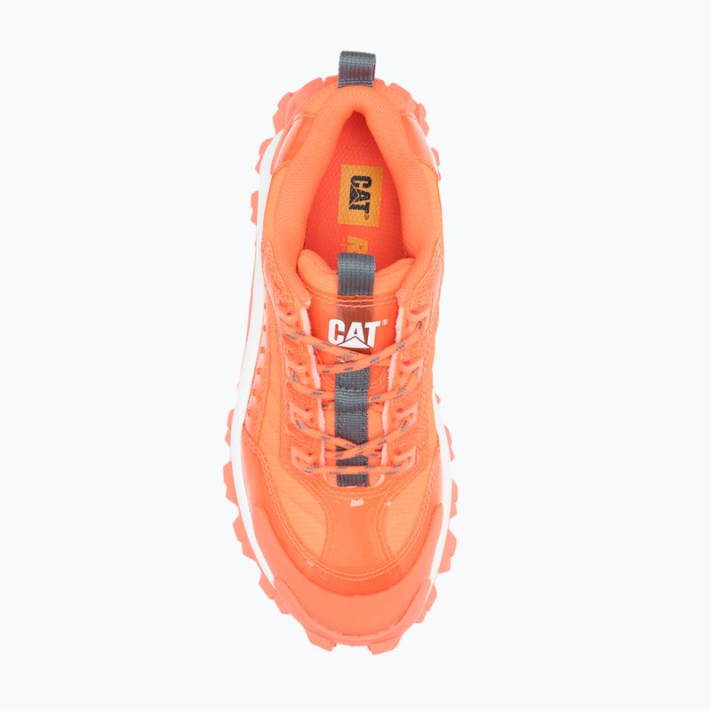 Men's shoes CATerpillar Intr Ignite fiery coral 12