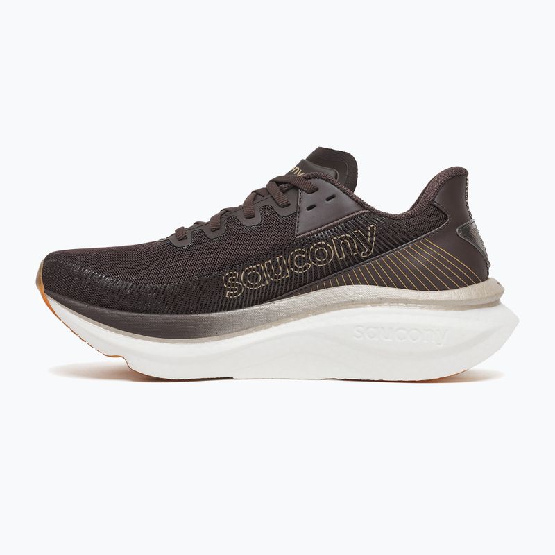 Women's running shoes Saucony Endorphin Azura torte 2