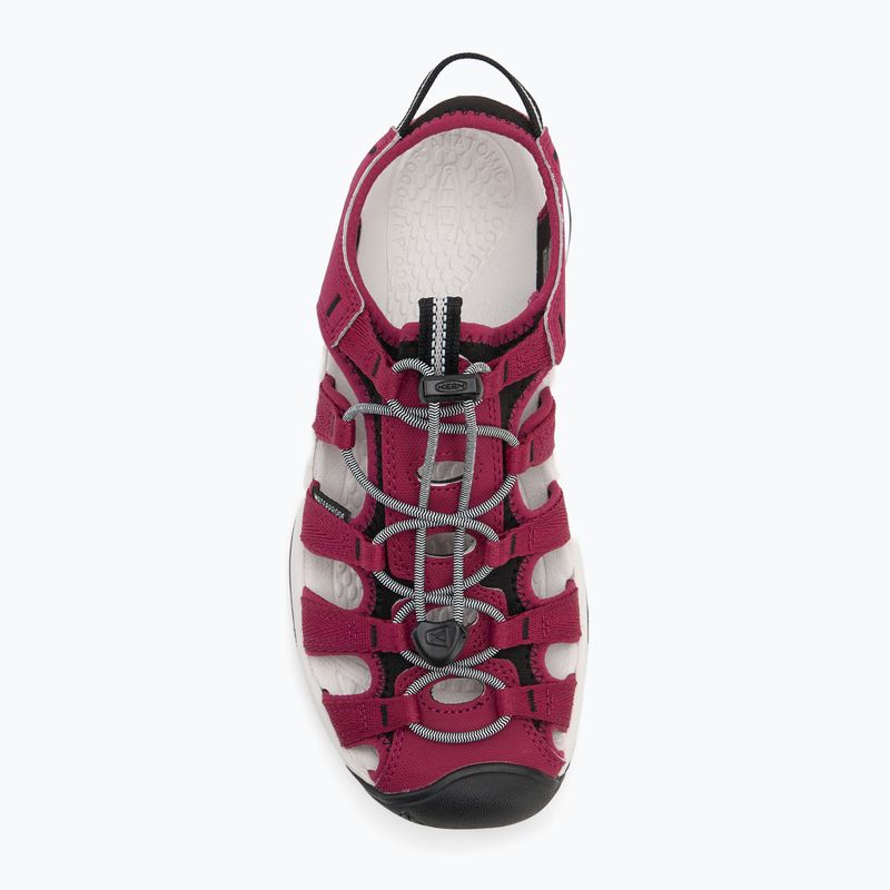 KEEN Astoria West women's sandals beaujolais/star white 5