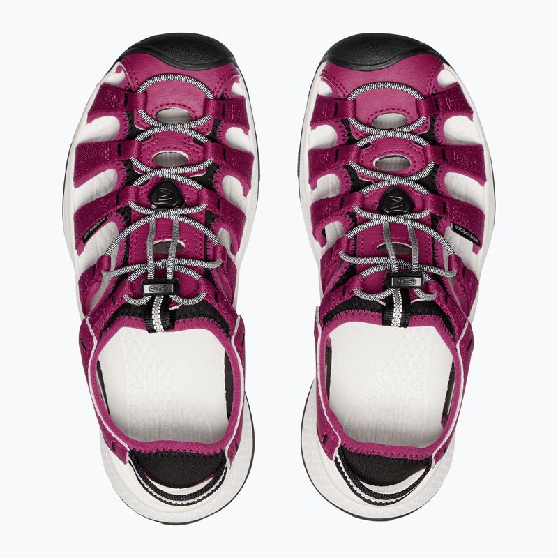 KEEN Astoria West women's sandals beaujolais/star white 5