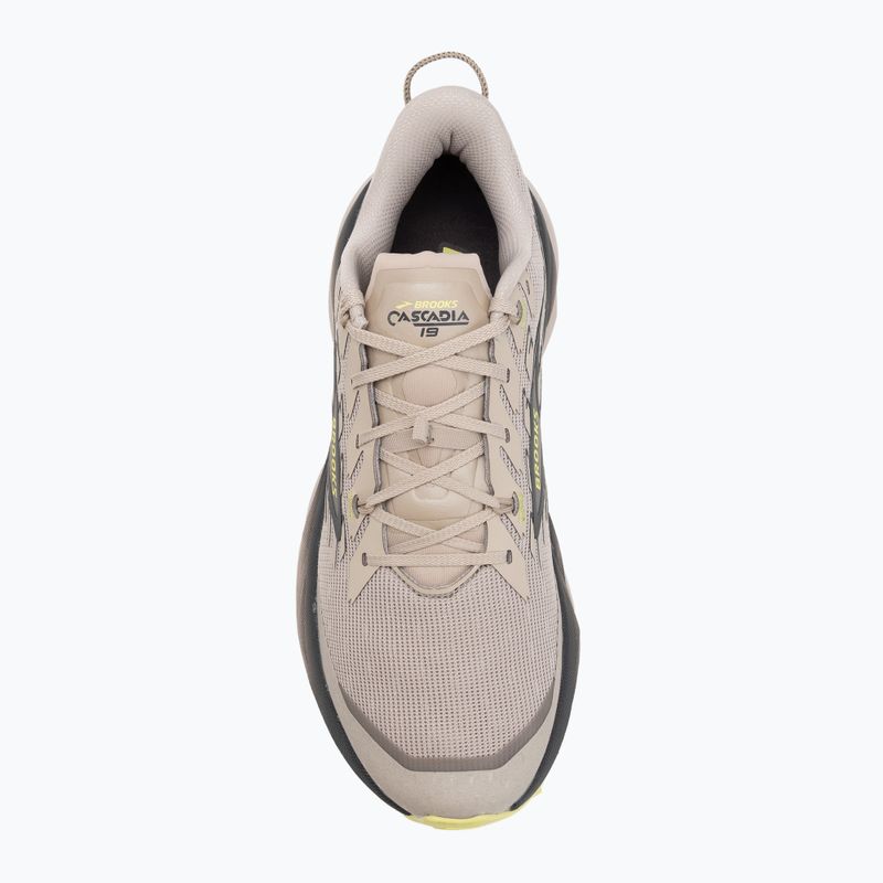 Men's running shoes Brooks Cascadia 19 chateau/ebony/sunny lime 5