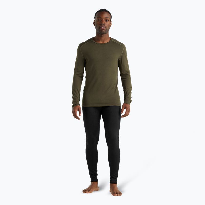 Men's Icebreaker 260 Tech Crewe thermal longsleeve loden 2