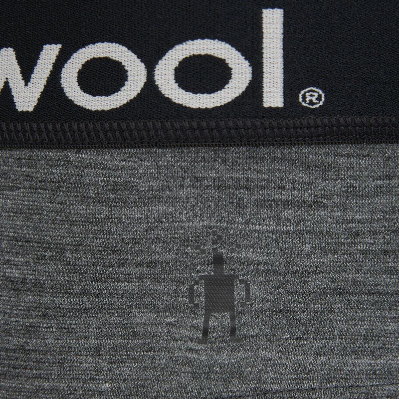 Men's thermal underwear Smartwool Active Brief medium gray heather 3