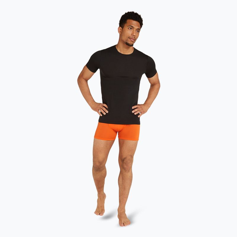 Men's thermal boxer shorts icebreaker Anatomica blaze 5