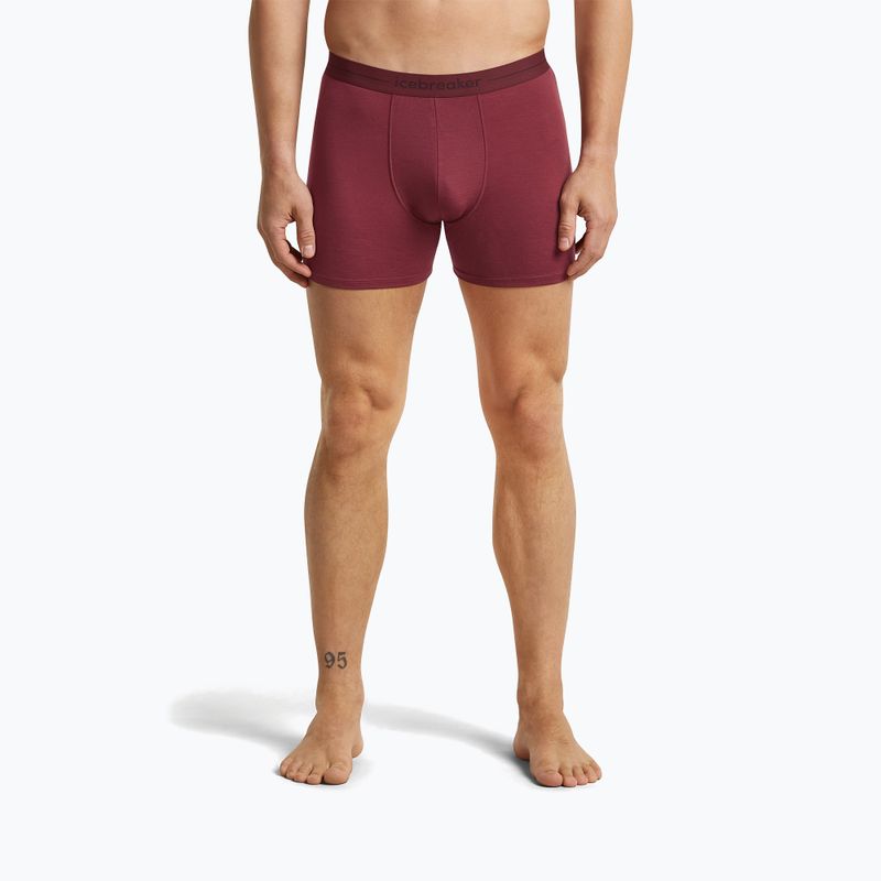 Men's thermal boxers icebreaker Anatomica Boxers port 2
