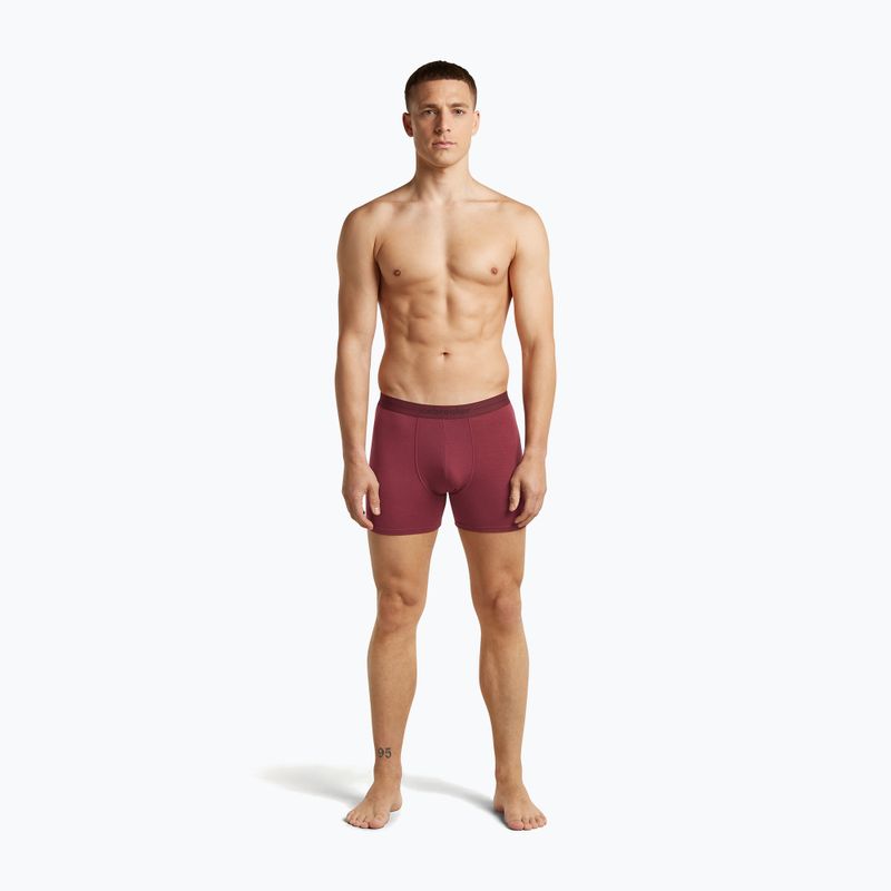 Men's thermal boxers icebreaker Anatomica Boxers port 3