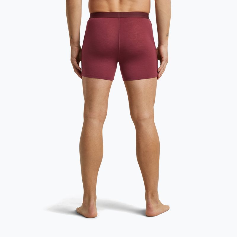 Men's thermal boxers icebreaker Anatomica Boxers port 4