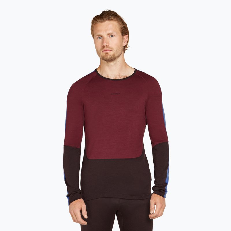 Men's thermal top icebreaker Merino 200 Sonebula LS Crewe bittersweet/port