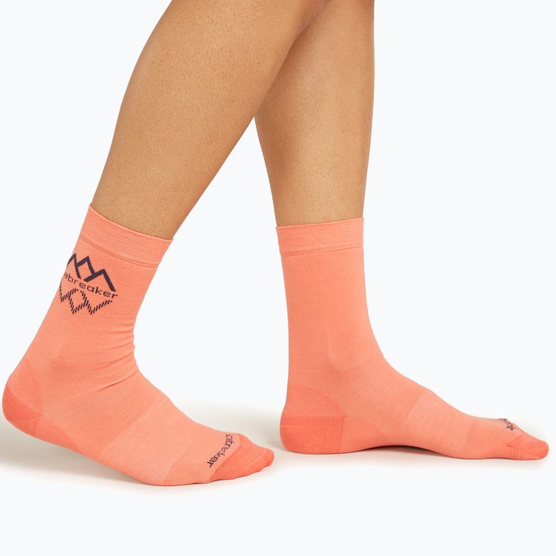 Icebreaker Women's trekking socks Life Fine Gauge Crew IB Logo Reflections tang/graphite 2