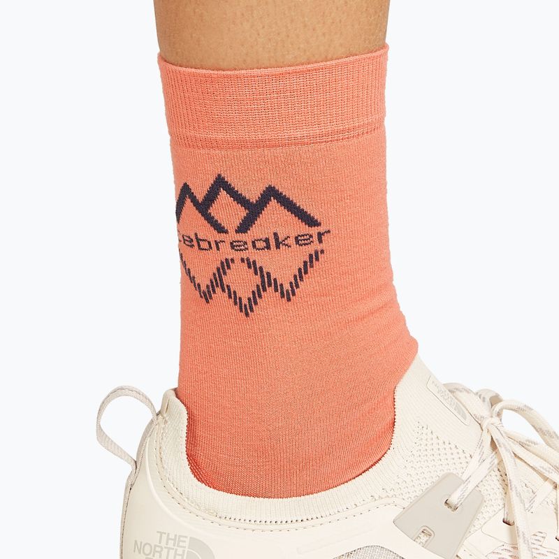 Icebreaker Women's trekking socks Life Fine Gauge Crew IB Logo Reflections tang/graphite 4