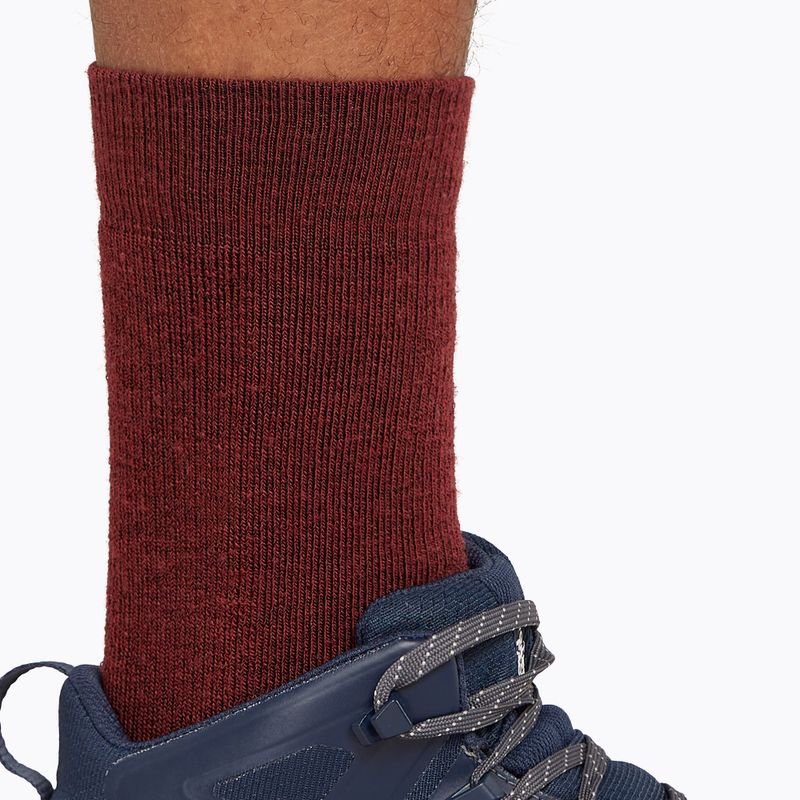 Icebreaker men's trekking socks Hike+ Medium Crew port/blaze/bittersweet 4