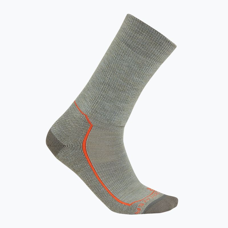 Icebreaker men's trekking socks Hike+ Medium Crew moss/blaze/galaxy