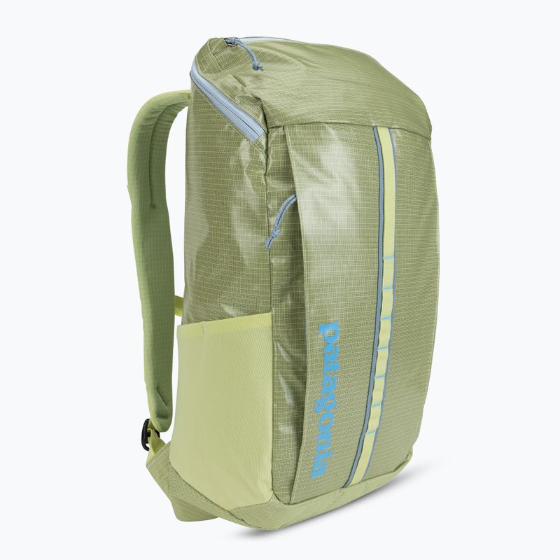 Patagonia hiking backpack Black Hole Pack 25 l friend green 2