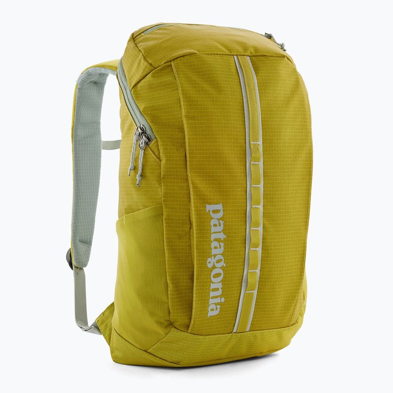 Patagonia Black Hole Pack 25 l shrub green hiking backpack 2