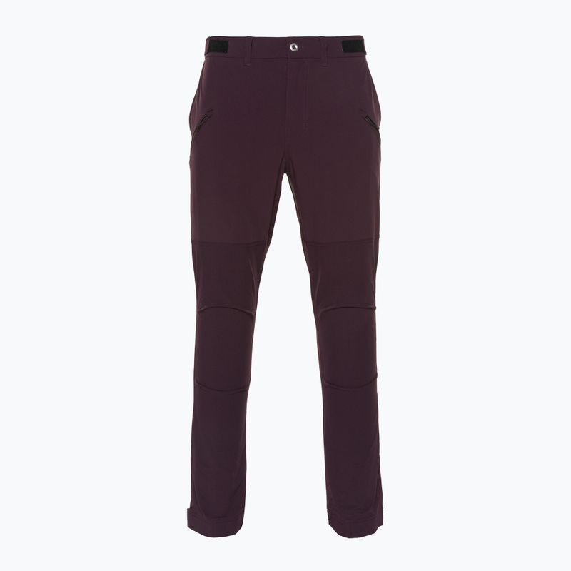 Men's Patagonia Point Peak Trail-Regular obsidian plum trekking trousers
