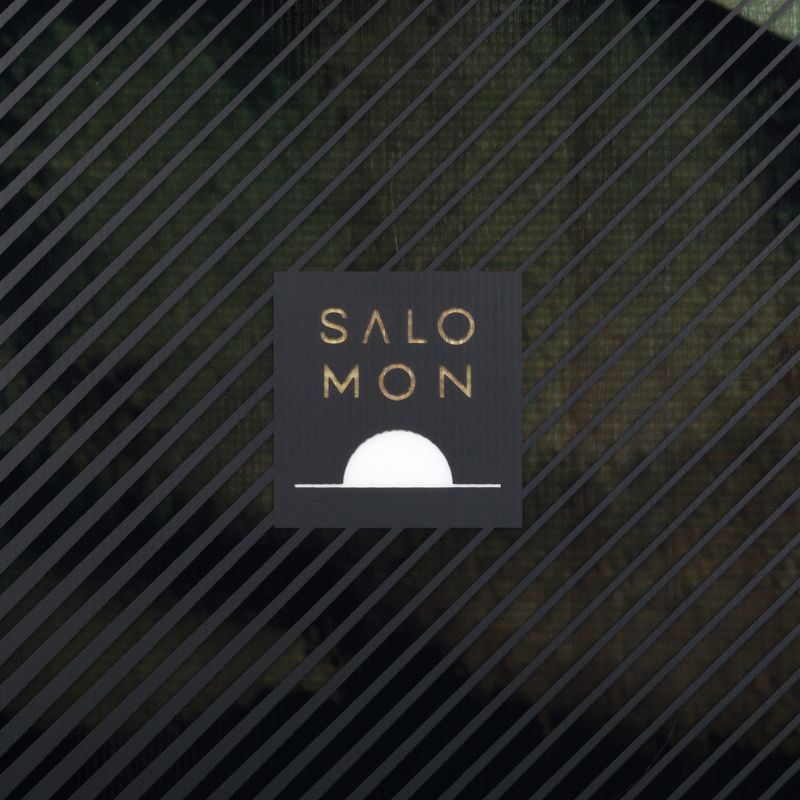 Men's snowboard Salomon Pulse black L47031600 5