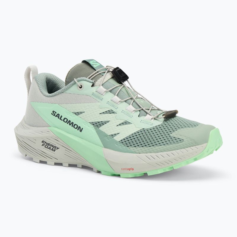 Women's running shoes Salomon Sense Ride 5 lily pad/metal/green ash