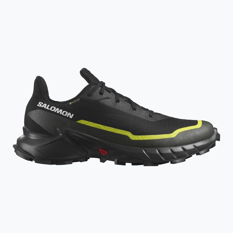 Men's running shoes Salomon Alphacross 5 GTX black/peat/sulphur spring 9