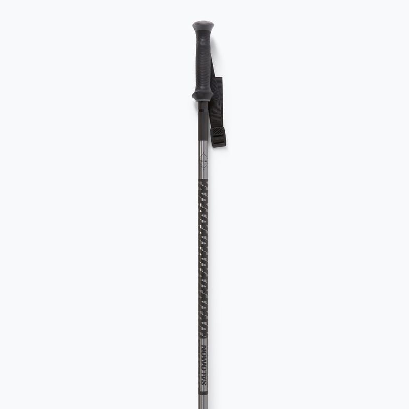 Salomon Polar ski poles black 2