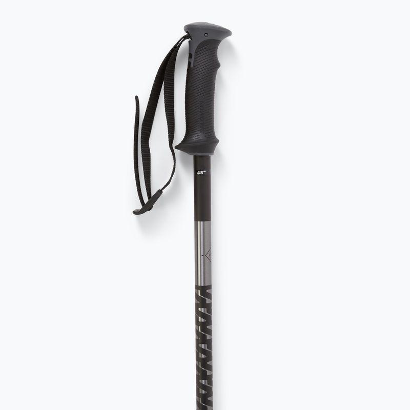 Salomon Polar ski poles black 4