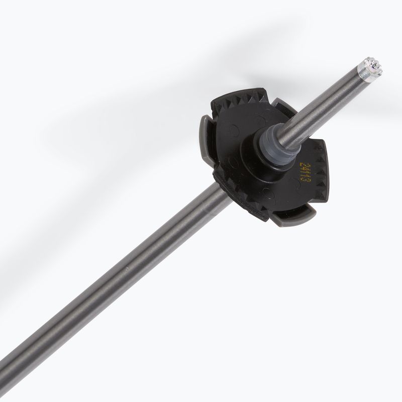Salomon Polar ski poles black 5