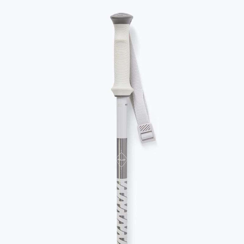 Salomon Polar grey violet ski poles 2