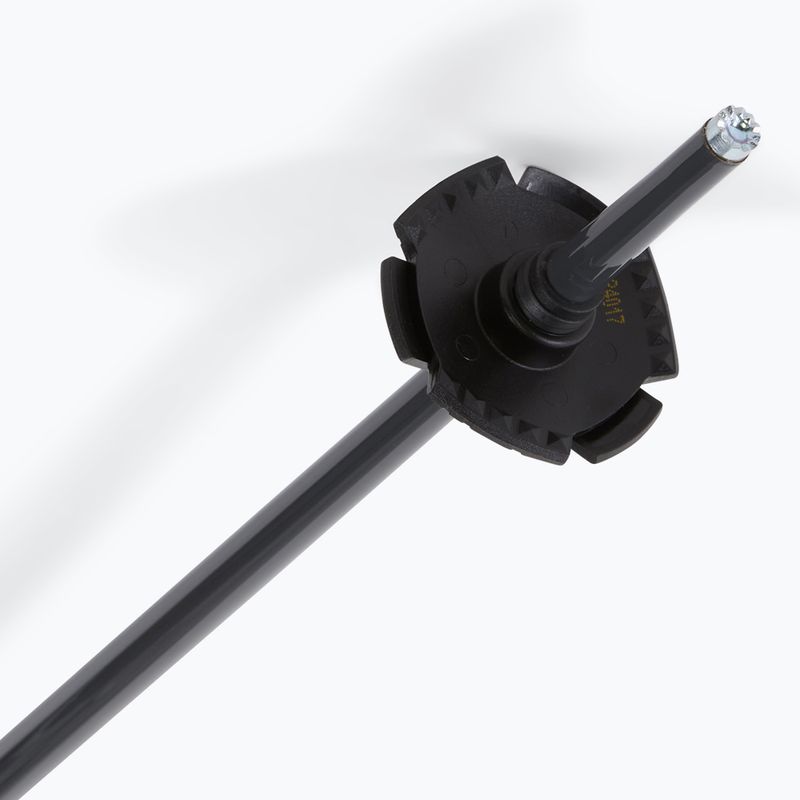 Salomon Polar Access ski poles black 5